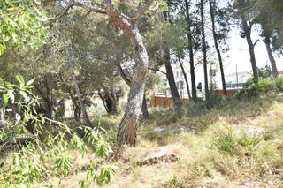 Residential Plot in Bellvei. Parcela con mini casita