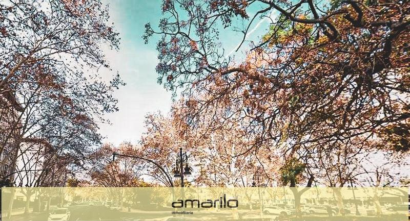 Foto 4f3ec490-1fab-45e9-bb2e-5e2bcd614260. Location appartement avec parking dans Arrancapins Valencia