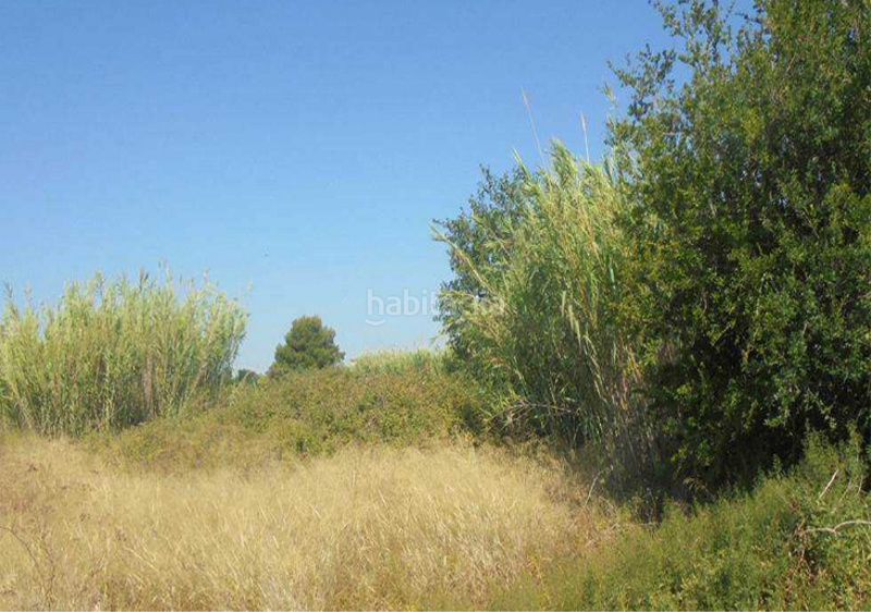 Foto f8485cf8-049d-4e6f-b4c7-3c555dc6bde5. Residential plot in calle virgen de los dolores 7 in Murcia