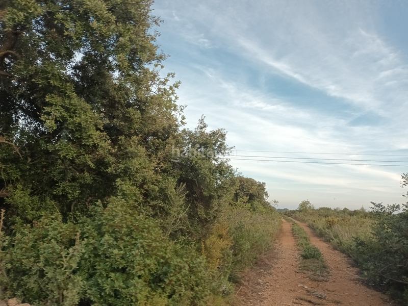 Foto de12628a-c64d-49c8-8cba-edfc42b456ba. Terreno residencial en San Jorge