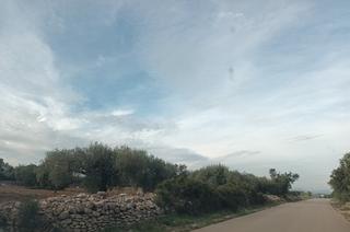 Residential Plot in San Jorge