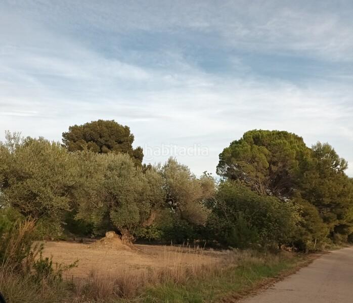 Foto b2a86ab3-bf69-4cb4-9acb-ba4b3367276b. Terreno residenziale in San Jorge