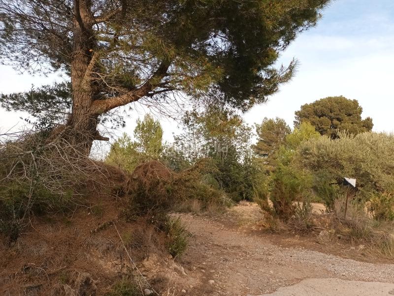 Foto c848bdae-b7d0-43bf-bb2c-4994e35891c7. Terreno residenziale in San Jorge