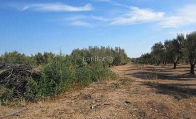 Foto d95fcef4-eac0-4055-814d-636a7a98dc62. Terreno residenziale in San Jorge