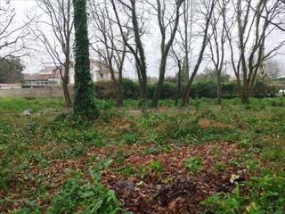 Fondo rustico in Tomiño