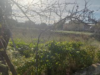 Propriété à Calle cuadra borriolench 41