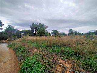 Residential Plot in Platja de Torres