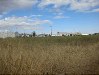 Terreny residencial a Silla