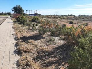 Terreny residencial a Avenida castellón 2