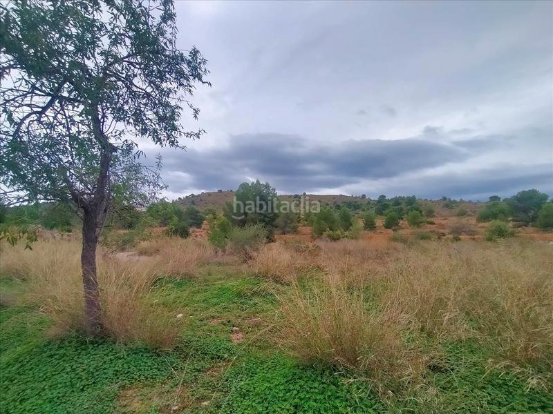 Foto c23e5246-370d-4d4e-89be-44546d36bb8b. Terreny residencial a El Secanet-Hacienda del Sol Vila Joiosa (la)