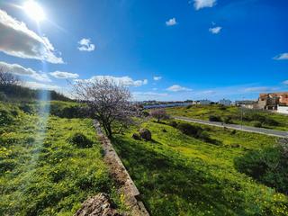 Terreny residencial  Sector 12 nuevo parque. Venta de suelo urbano residencial en calle sector nº 12 ayamonte