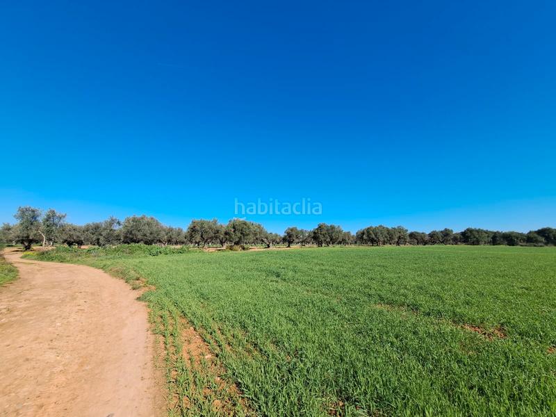 Foto 5cb69e89-d4ee-4d14-8ea4-87230a93bc1e. Terreno residenziale in La Motilla - Fuente del Rey Dos Hermanas