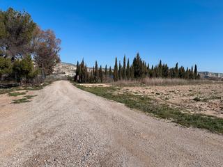 Fondo rustico  Avenida de la almozara