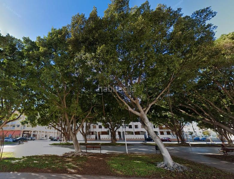 Foto d86ed662-afec-4172-8258-6f2bf472fe33. Geschäftsraum in Playa de Gandía Gandia