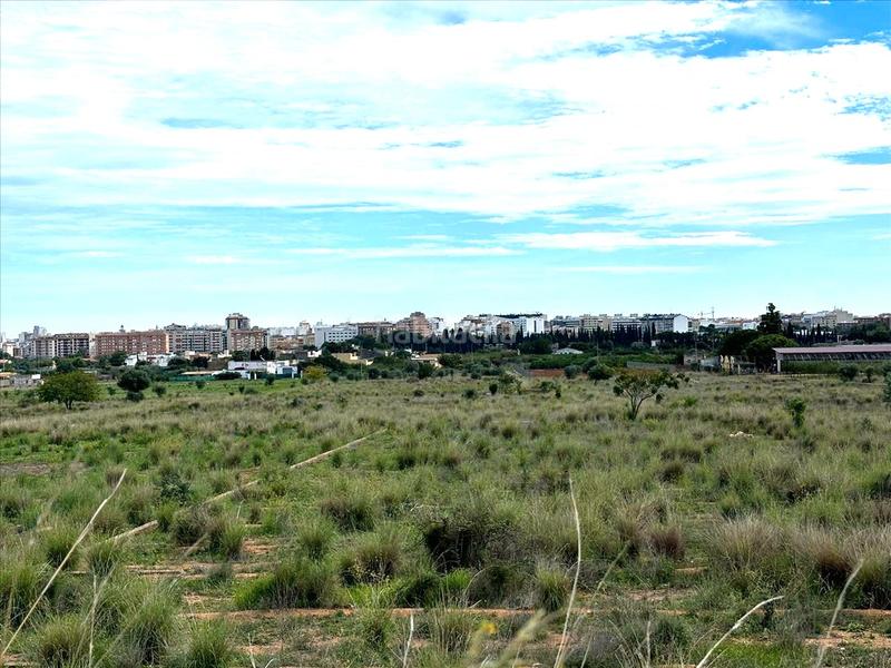 Foto c5b9c5b8-c107-4663-b960-bf65d66495c6. Wohngrundstück in Plaza Illes Columbretes Castellón de la Plana