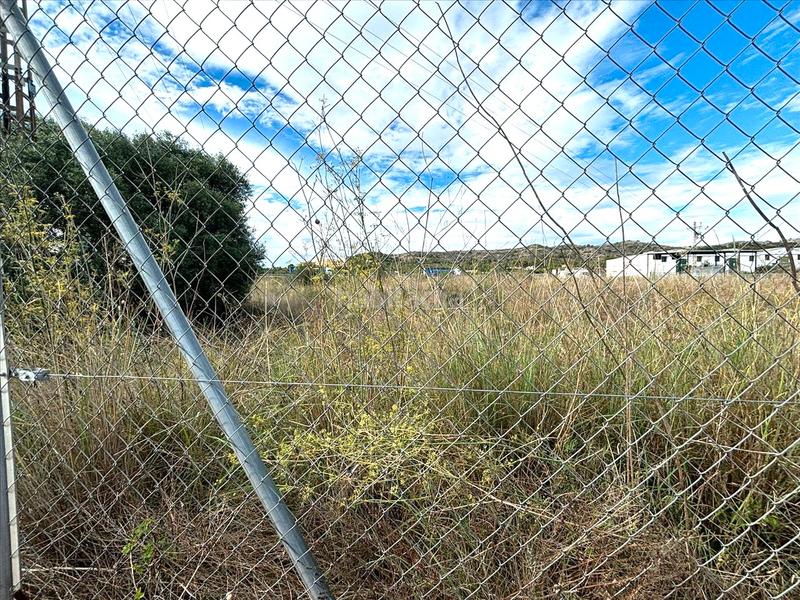 Foto 17b3750d-69bb-4dba-8a1d-d8135e48e777. Fondo rustico in Pau Lledó Castellón de la Plana