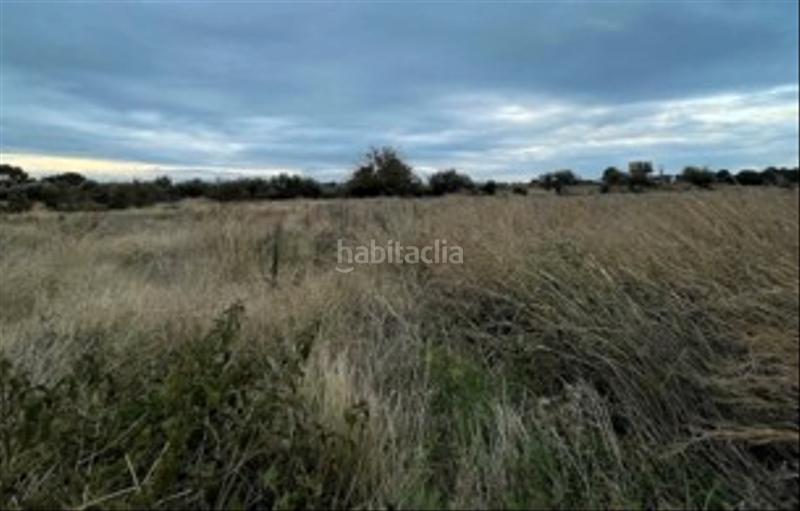Foto 6b89c925-4783-4449-9db5-430d260a1bd1. Terreny residencial a rambla de jaume i 95 a Port - Horta de Santa Maria Cambrils