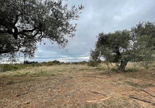 Residential Plot in Rambla de jaume i 95