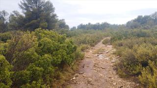 Terrain résidentiel à Avinguda guerrer de moixent 1