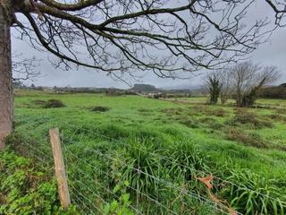 Rural plot in Ribadesella