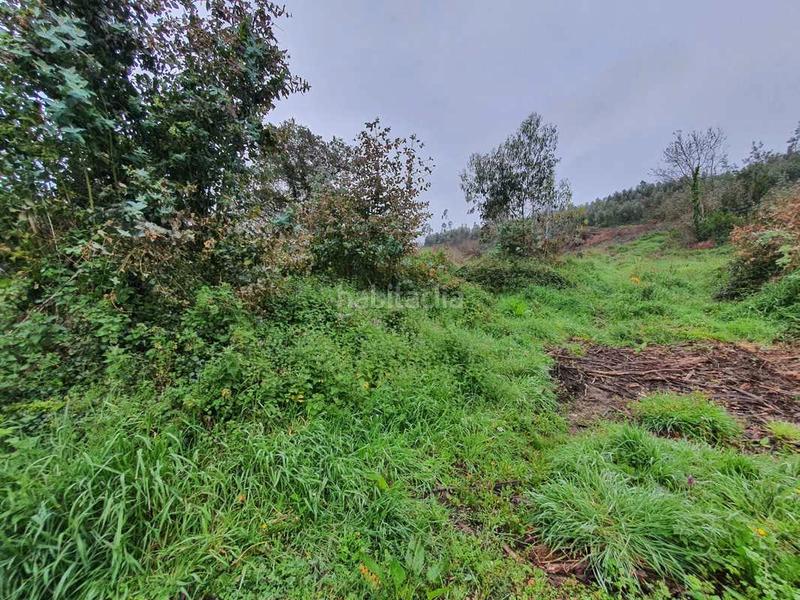 Foto 6d7b276b-df2d-4216-85df-8322e9c82449. Finca rústica en Ribadesella