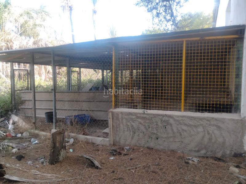 Foto 206a4035-a7a9-4e35-9c49-5e8ecd1894f8. Chalet finca rústica con casa rural en Ciutat Esportiva Elche / Elx