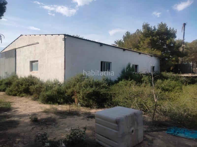 Foto 721b0e50-3050-4b17-93b6-5802bac46c8c. Chalet finca rústica con casa rural en Ciutat Esportiva Elche / Elx