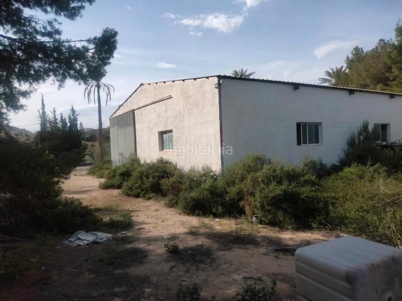 Foto b3a106f2-6116-462b-bca4-b89105ae1e7b. Chalet finca rústica con casa rural en Ciutat Esportiva Elche / Elx
