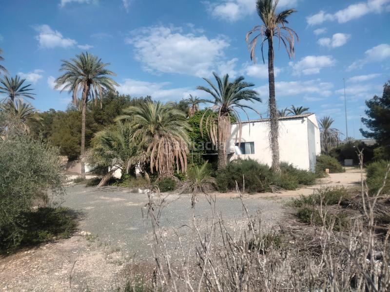 Foto b56bdf25-2719-4df3-bfbd-4c179ad297b6. Chalet finca rústica con casa rural en Ciutat Esportiva Elche / Elx