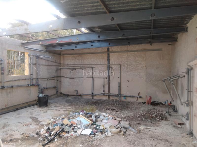 Foto fb2b19af-7409-42af-94b3-5eade682aa4c. Chalet finca rústica con casa rural en Ciutat Esportiva Elche / Elx