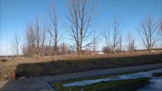 Residential Plot in Lugar extrarradio 16