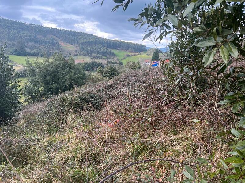 Foto c4c0f3b1-cfb0-4574-ac33-3fb79fd5296c. Fondo rustico in Selorio - Tornón Villaviciosa