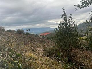 Landgut in Selorio - Tornón