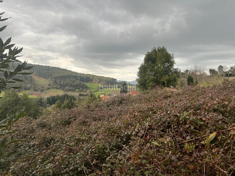 Foto 2222d931-ff1e-42ec-b79a-faabd4173e33. Finca rústica a Selorio - Tornón Villaviciosa