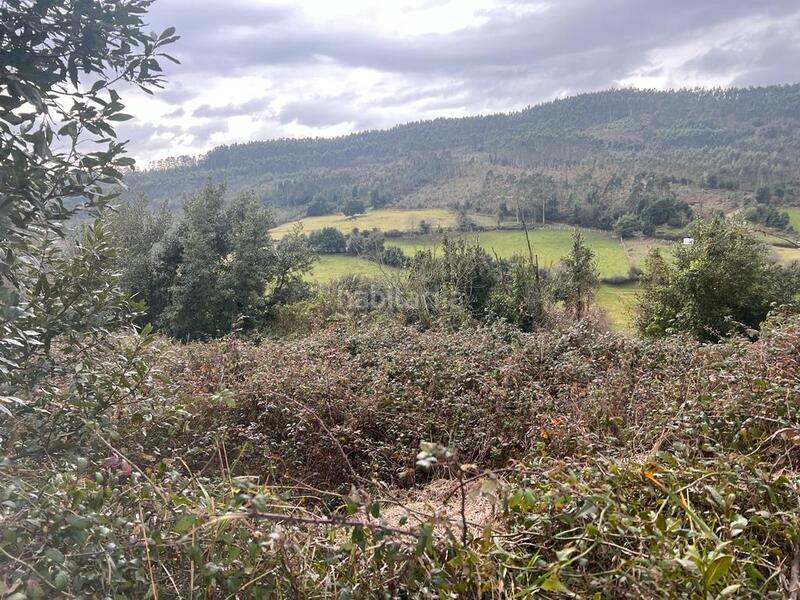 Foto 5b1ce24b-2c1e-489a-aed1-c85c76ca75b8. Finca rústica a Selorio - Tornón Villaviciosa