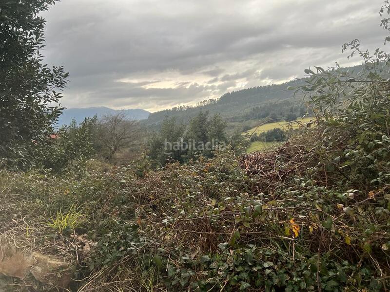 Foto a56887ee-717a-4650-8f4e-7a36a7f72acd. Finca rústica a Selorio - Tornón Villaviciosa