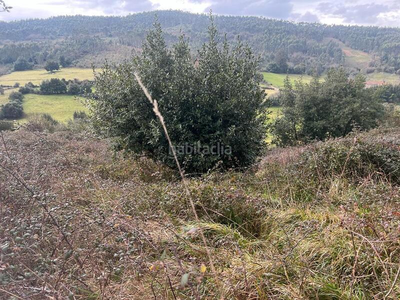 Foto f22c3a33-d217-454e-846a-3bd07e8768c7. Finca rústica a Selorio - Tornón Villaviciosa