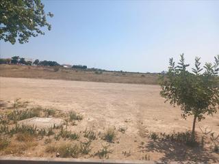 Residential Plot in La Plata