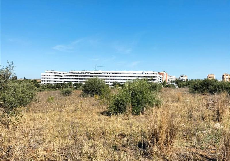 Foto 7545039a-19e5-45a7-a1bb-10598fdae8a5. Terreno residencial en Palomares del Río