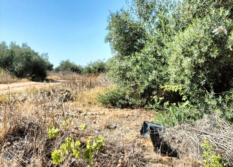 Foto edc53f69-b779-4c0c-8228-750636333113. Terreno residencial en Palomares del Río