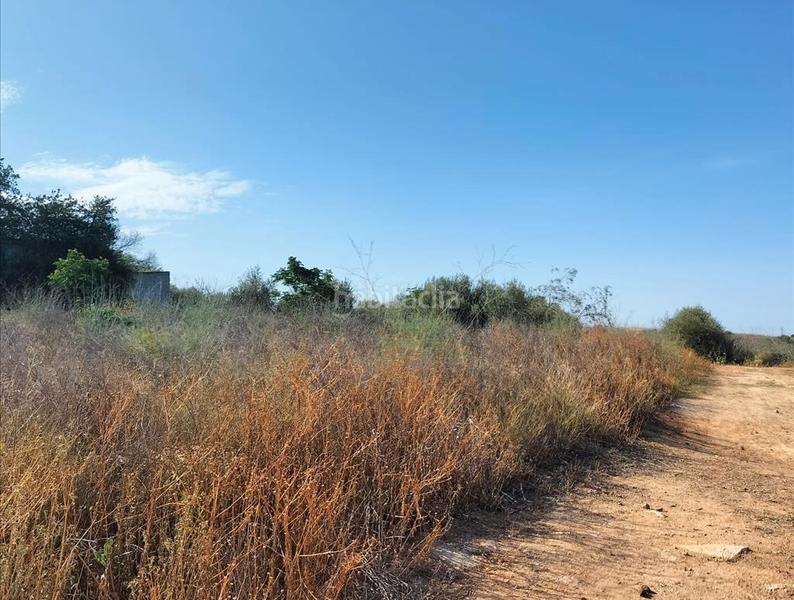 Foto efca5fad-57a8-4d1b-80c7-5986c1dbc766. Terreno residencial en Palomares del Río
