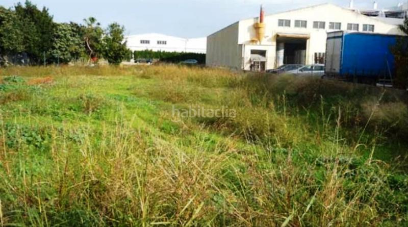 Foto ba016cbc-ec6a-4e2c-801a-8a968cd66f47. Terrain résidentiel dans Sollana