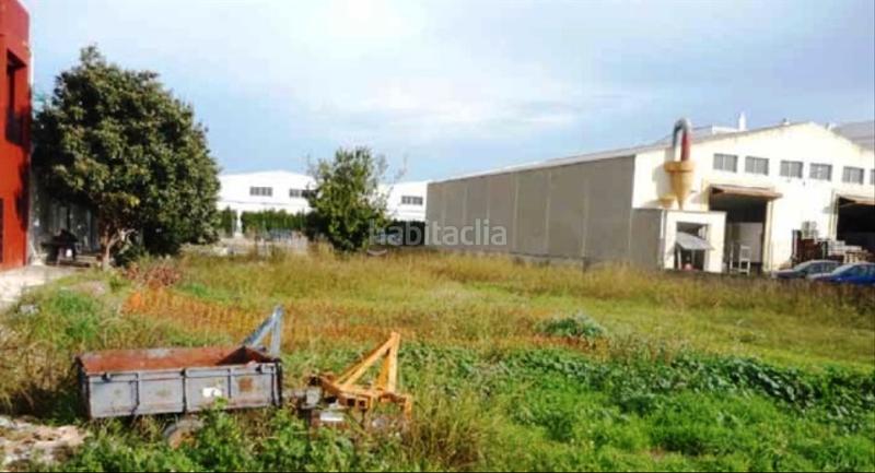 Foto c98f9eac-0bb1-4f52-8a07-ec4215355721. Terrain résidentiel dans Sollana