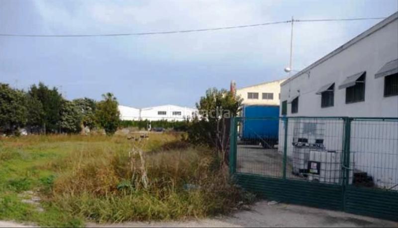 Foto e5f43e73-987f-4cb5-8a0d-4307e8f312cd. Terrain résidentiel dans Sollana