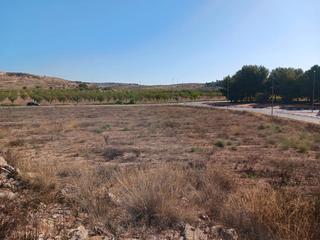 Residential Plot in Pinoso