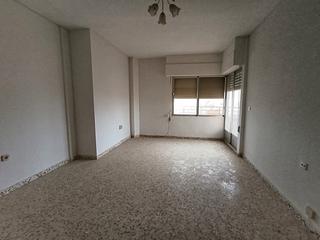 Flat  Paseo príncipe asturias