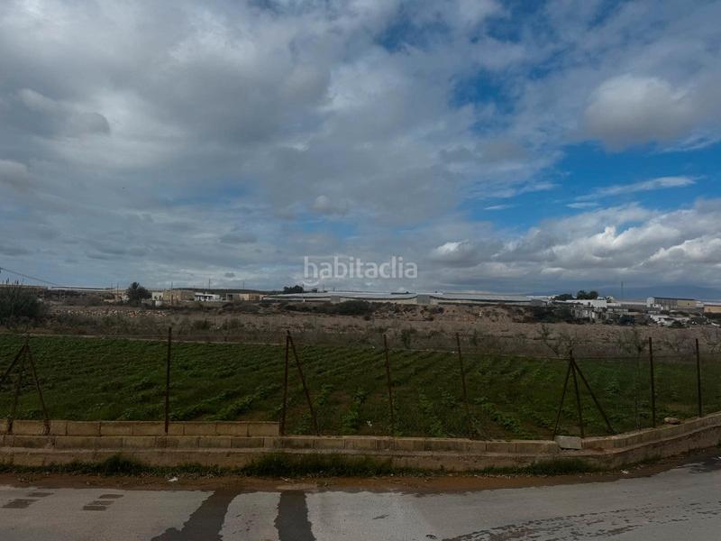 Foto 94e07a44-084c-48ab-a141-d6f8a8f07db9. Pis a Pozo de los Frailes-Presillas-Albaricoques Níjar