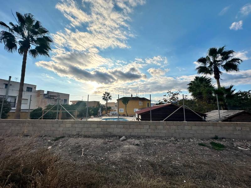 Foto 48c0a992-1ef0-4171-b02e-cfa434e61edf. Pis a Berja