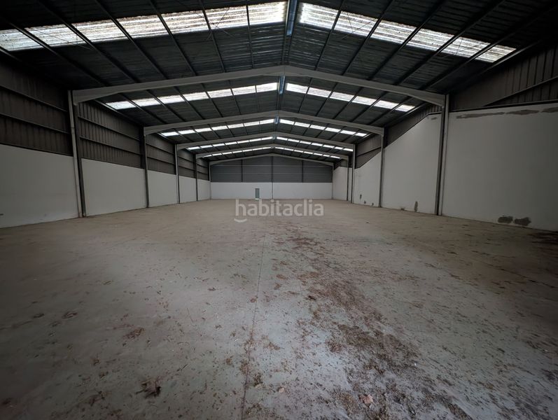 Foto e6a40a38-d7dc-4b3c-99c5-b0fbc04589cc. Fabrikhalle in Ulldecona