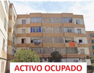 Flat  Carrer de lluís besa